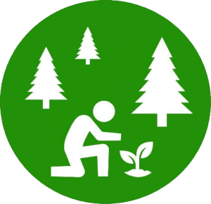 sustainable-forestry